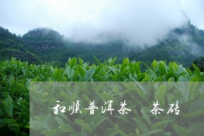 和顺普洱茶 茶砖/2023041126068